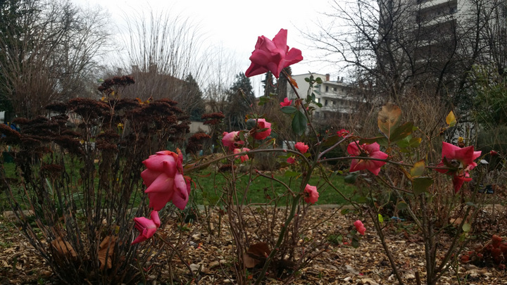 20180110_145941.jpg - 10 janvier 2018