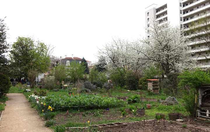 DSC06240.jpg - 7 avril 2018